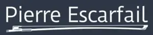 Logo clair sur fond foncé